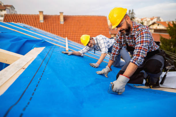 Best Chimney Flashing Repair  in Medicine Lodge, KS