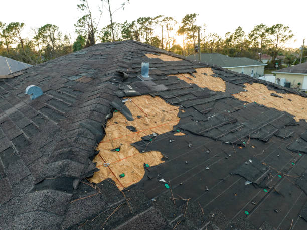 Best Roof Ventilation Installation  in Medicine Lodge, KS